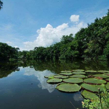 Los Chocuacos. Guácimo Exterior foto